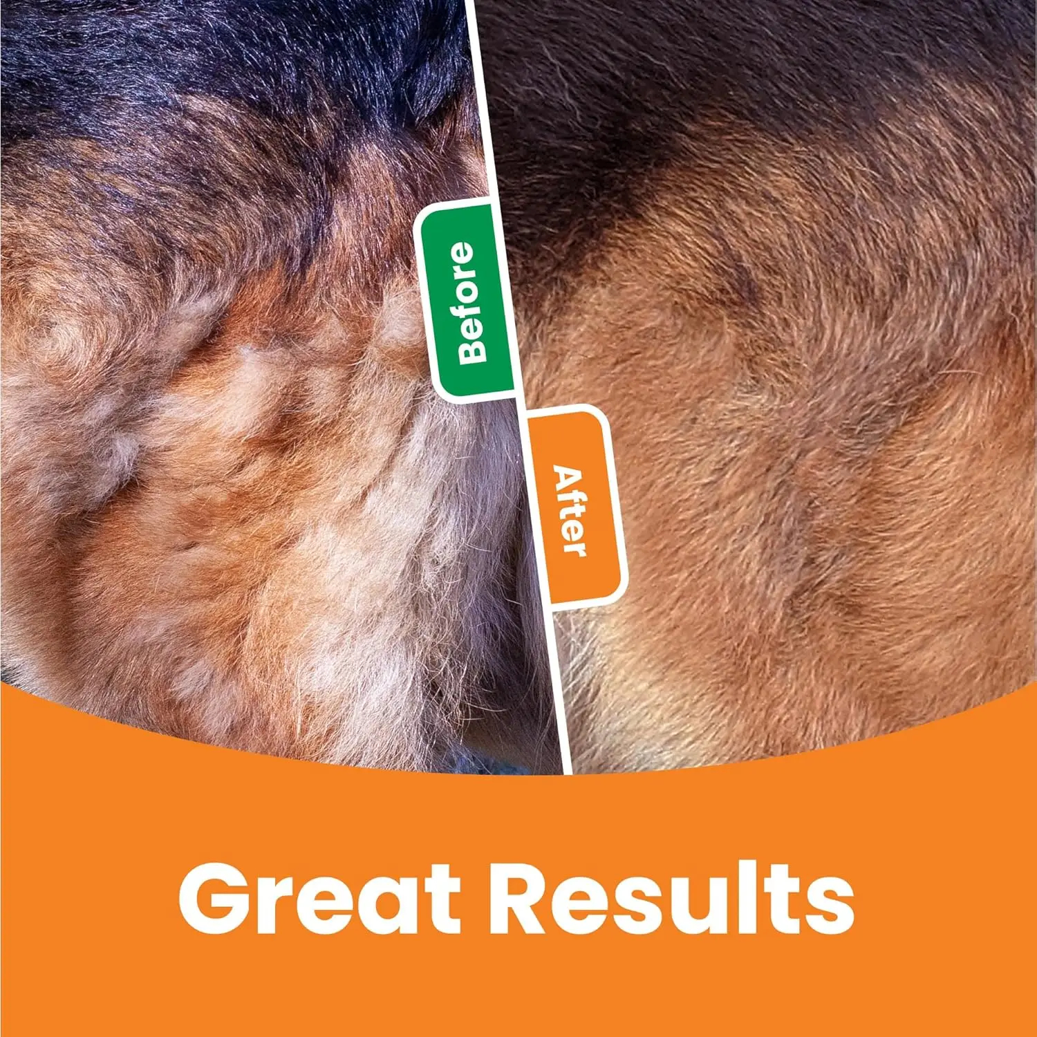 3 in 1 Pet Dematting Comb