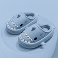 Shark Slippers for Winter