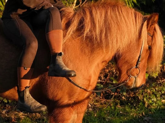 Ridstrumpa Allround Jordbrun 75% Merinoull