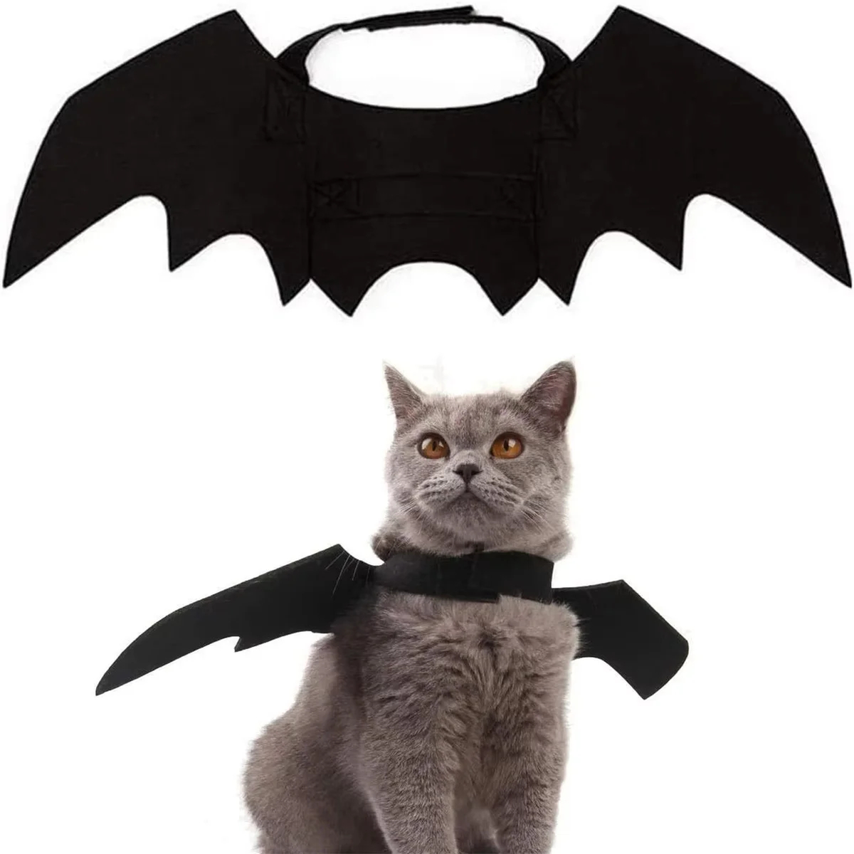 Pet Bat Wings