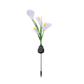 Solar Calla Lily Garden Light
