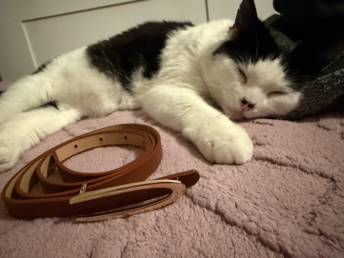 Brown Female Belt