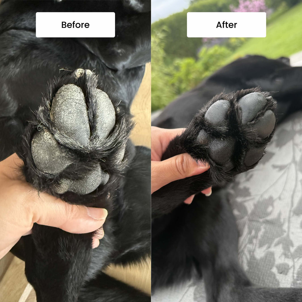 Paw Protect Balm 2 pack - For Dry Paws and Noses