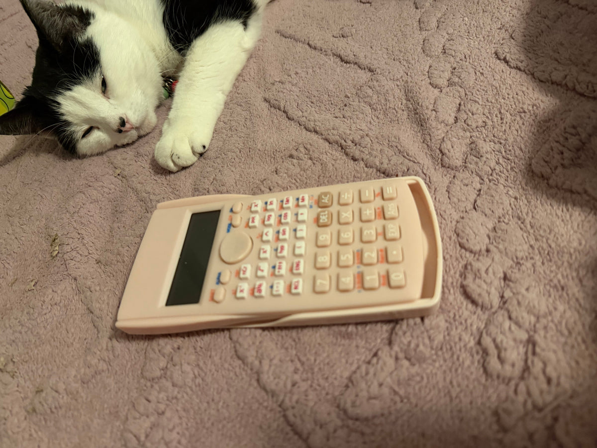 Calculator in Pink