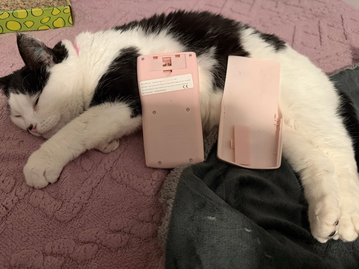 Calculator in Pink