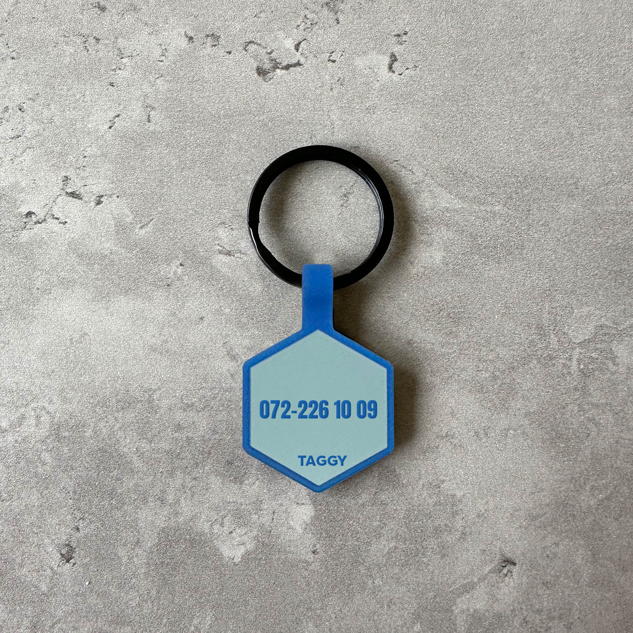 Blå namnbricka till hund - Typsnitt Anton