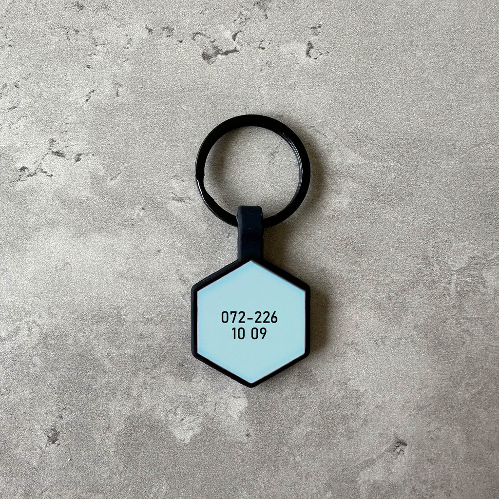 Ljusblå namnbricka till hund - Typsnitt Tea