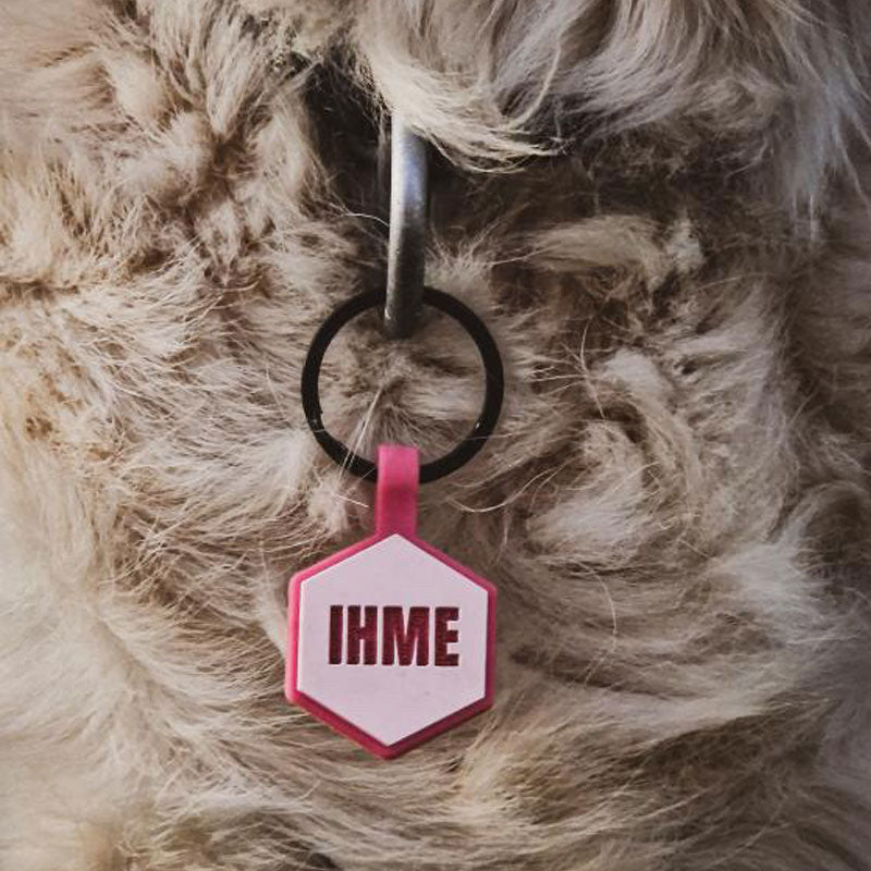 Ljusrosa namnbricka till hund - Typsnitt Anton