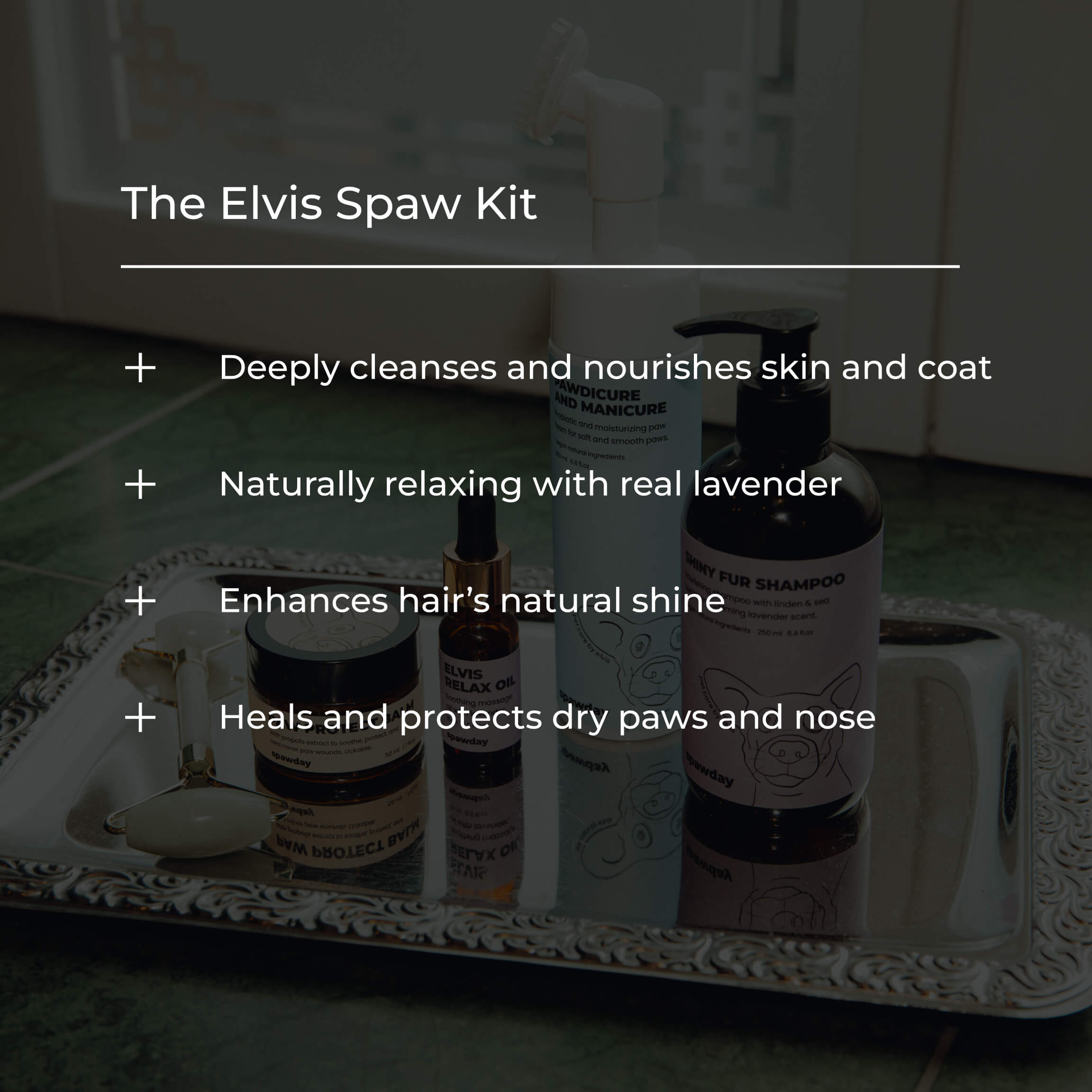Pawdicure Set - For Dry and Dirty Paws