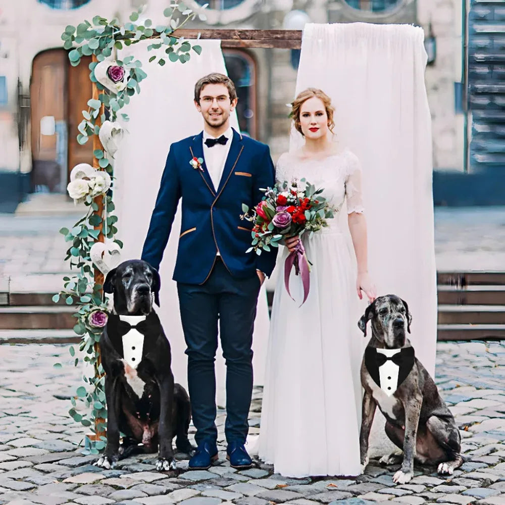Dog Tuxedo Suit With Bow Tie And Bandana Adjustable Formal Costumes For Small, Medium, Large Dogs Perfect For Weddings Birthdays