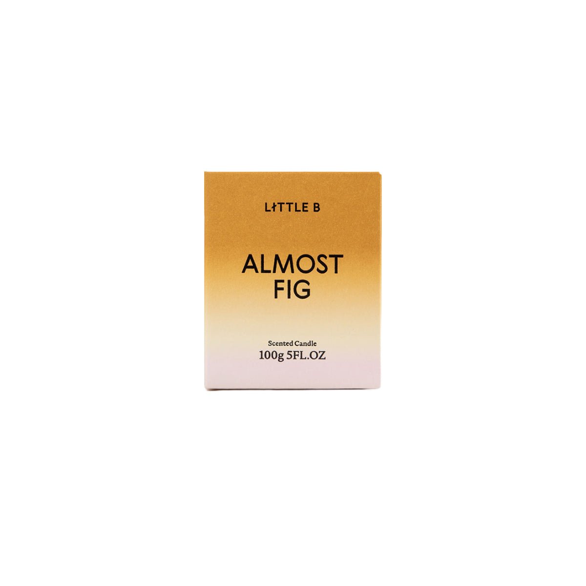 Almost Fig 100g Scented Candle-2