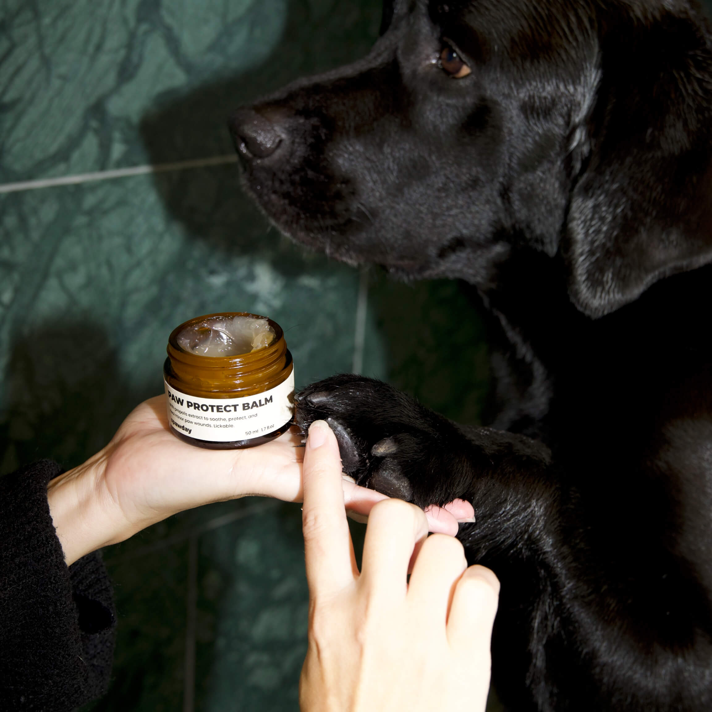 Total Relaxation Kit - For Stressed Dogs