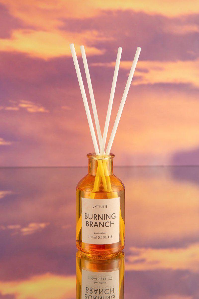 Burning Branch 100ml Reed Diffuser-4