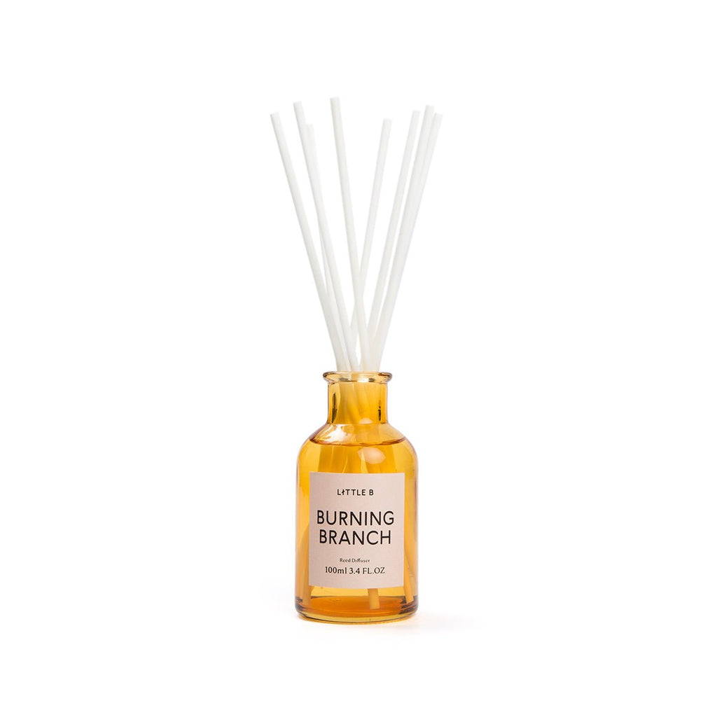 Burning Branch 100ml Reed Diffuser-2