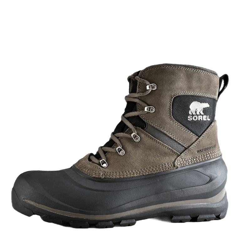 Buxton Lace Major / Black