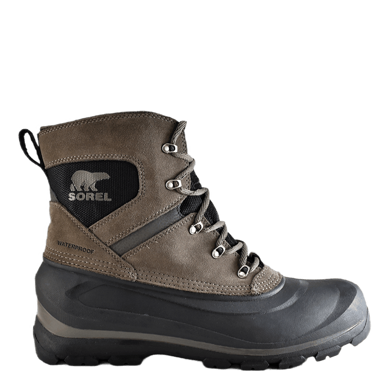 Buxton Lace Major / Black