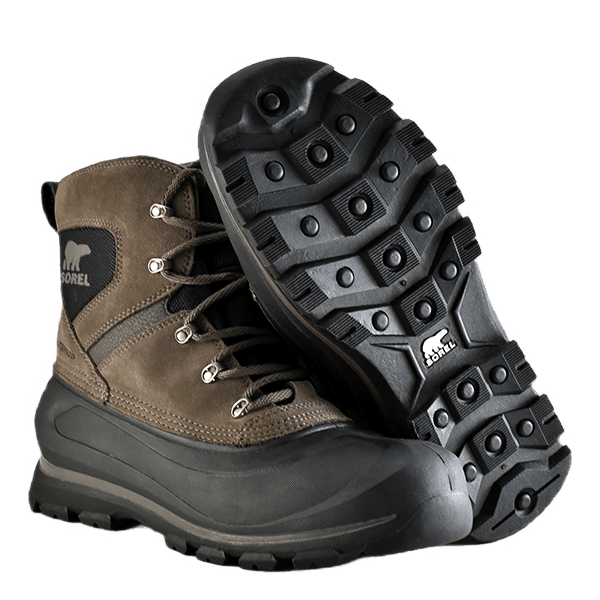 Buxton Lace Major / Black