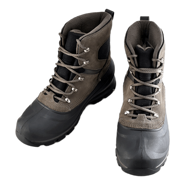 Buxton Lace Major / Black