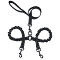 Double-Headed Pet Dog Leash