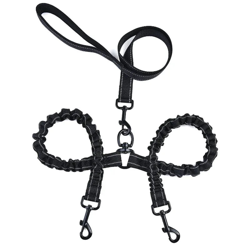 Double-Headed Pet Dog Leash