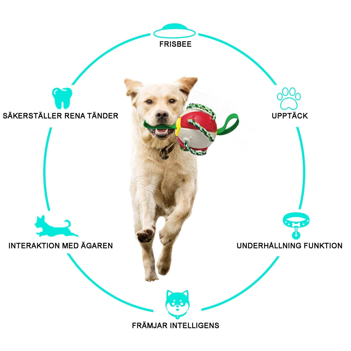 Frisbeeboll - Hundleksak