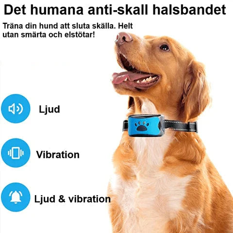 Humant anti-skall halsband för hundar