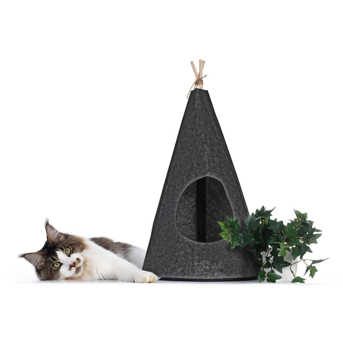 Katt tipitält av filt