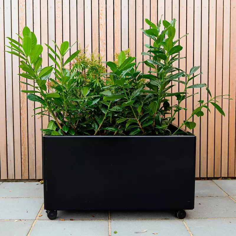 Odlingslåda - VÄXA - KUB (800x800mm)