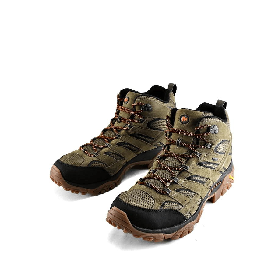 Moab 2 Leather Mid Gore-tex Olive