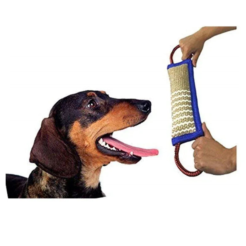 Pet Dog Training Chew Toy