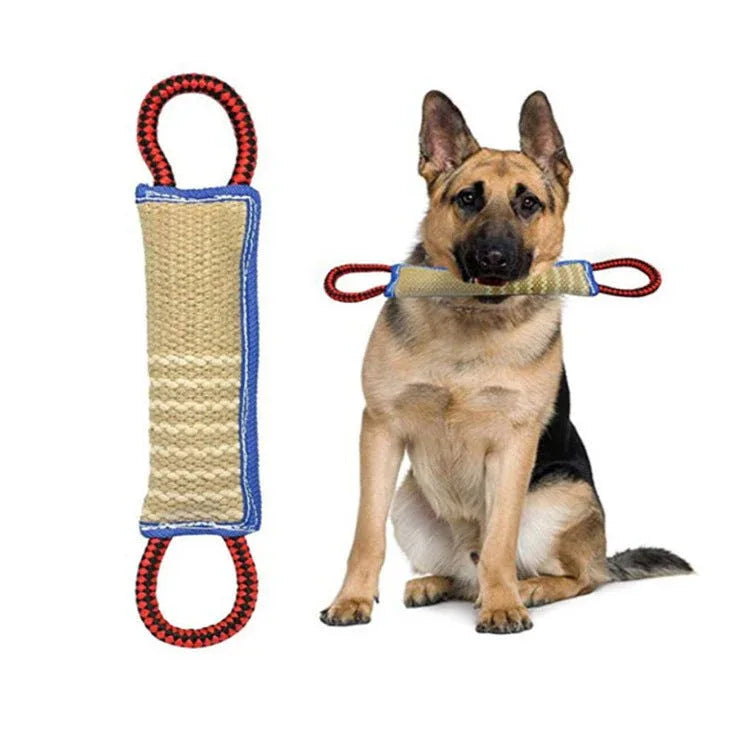 Pet Dog Training Chew Toy