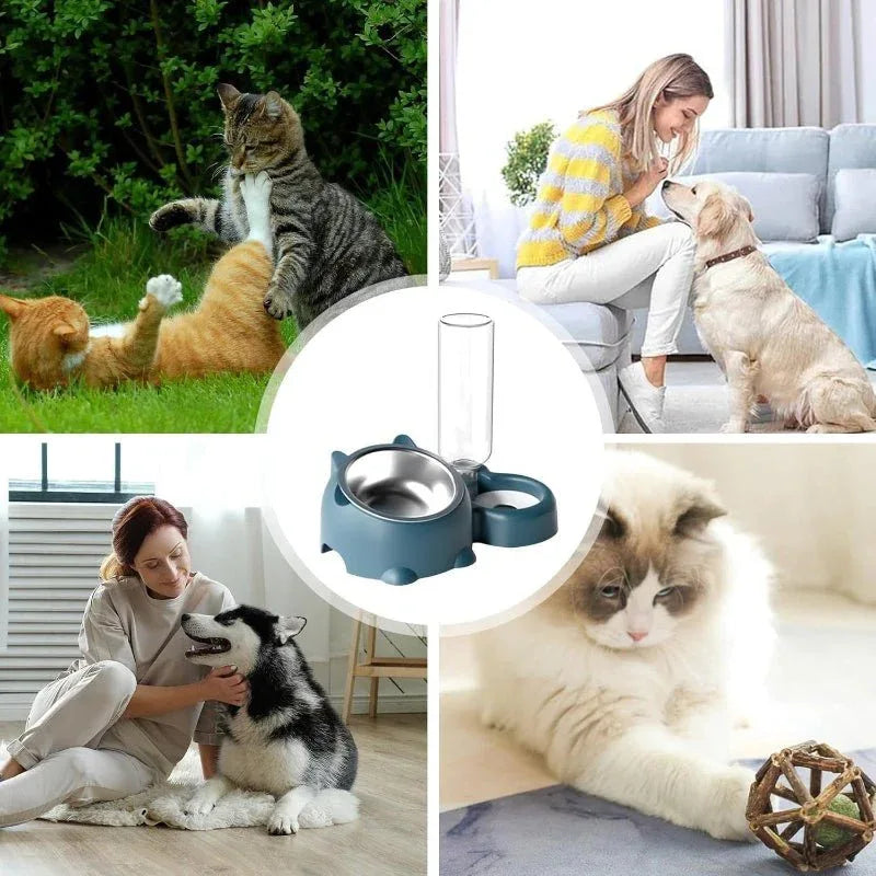 Pet Double Cat Dog Food And Water Bowl