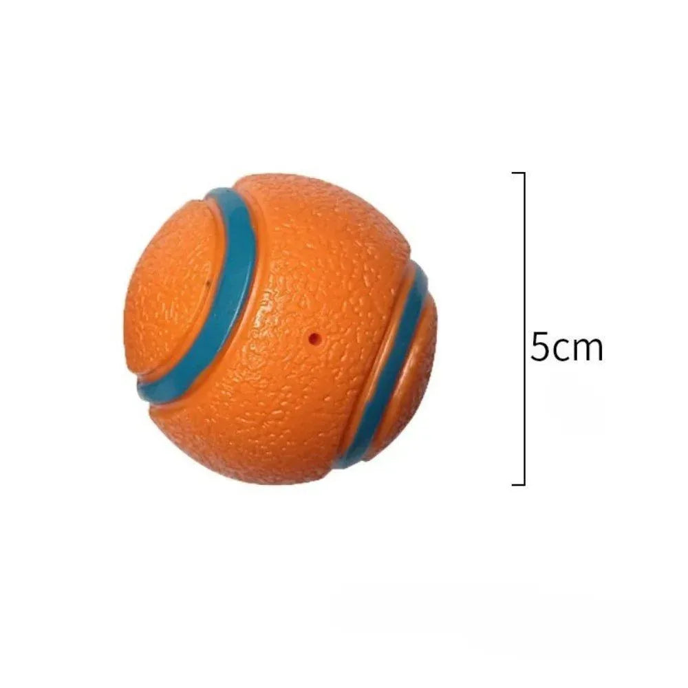Pet Fetch Ball Dog Chew Toys