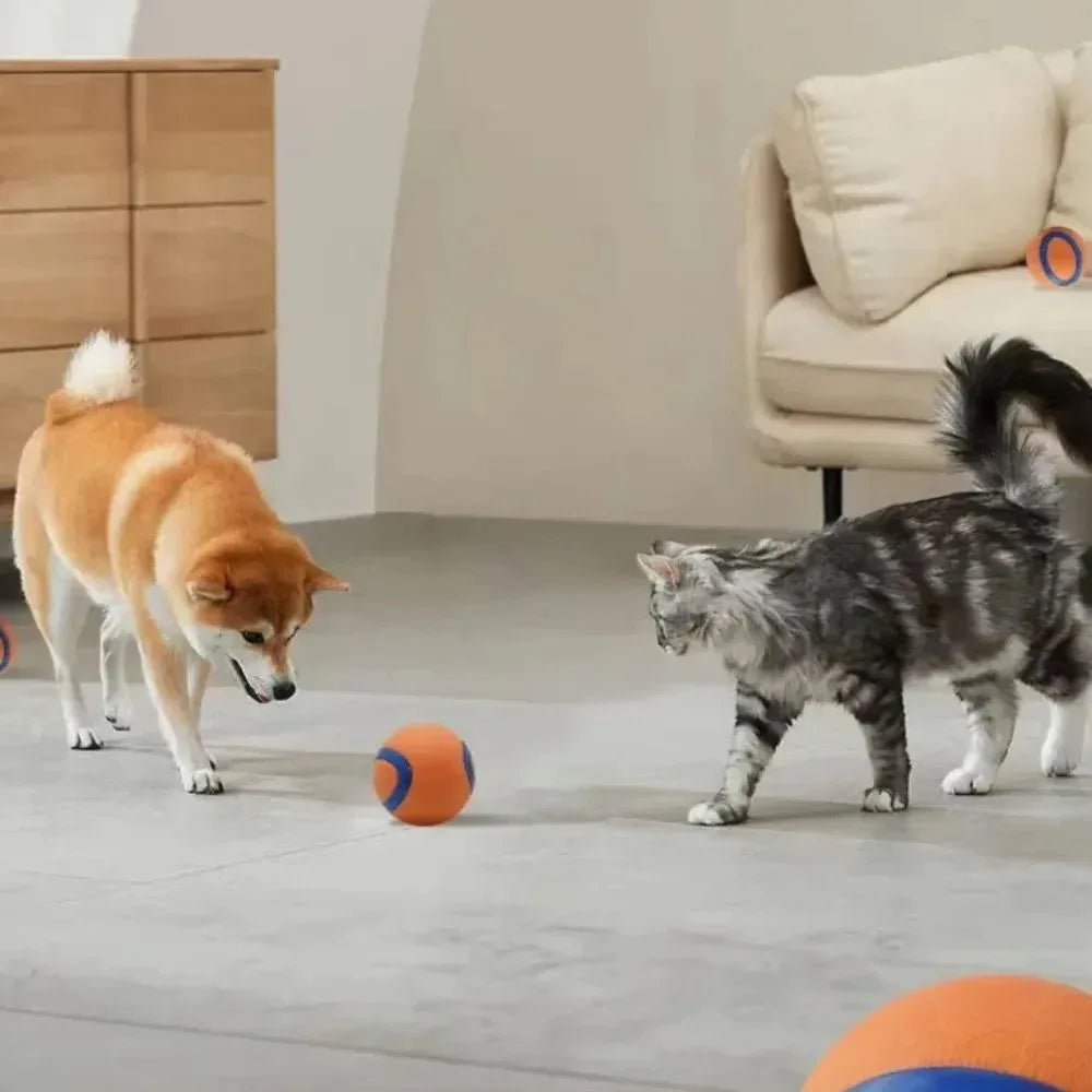 Pet Fetch Ball Dog Chew Toys