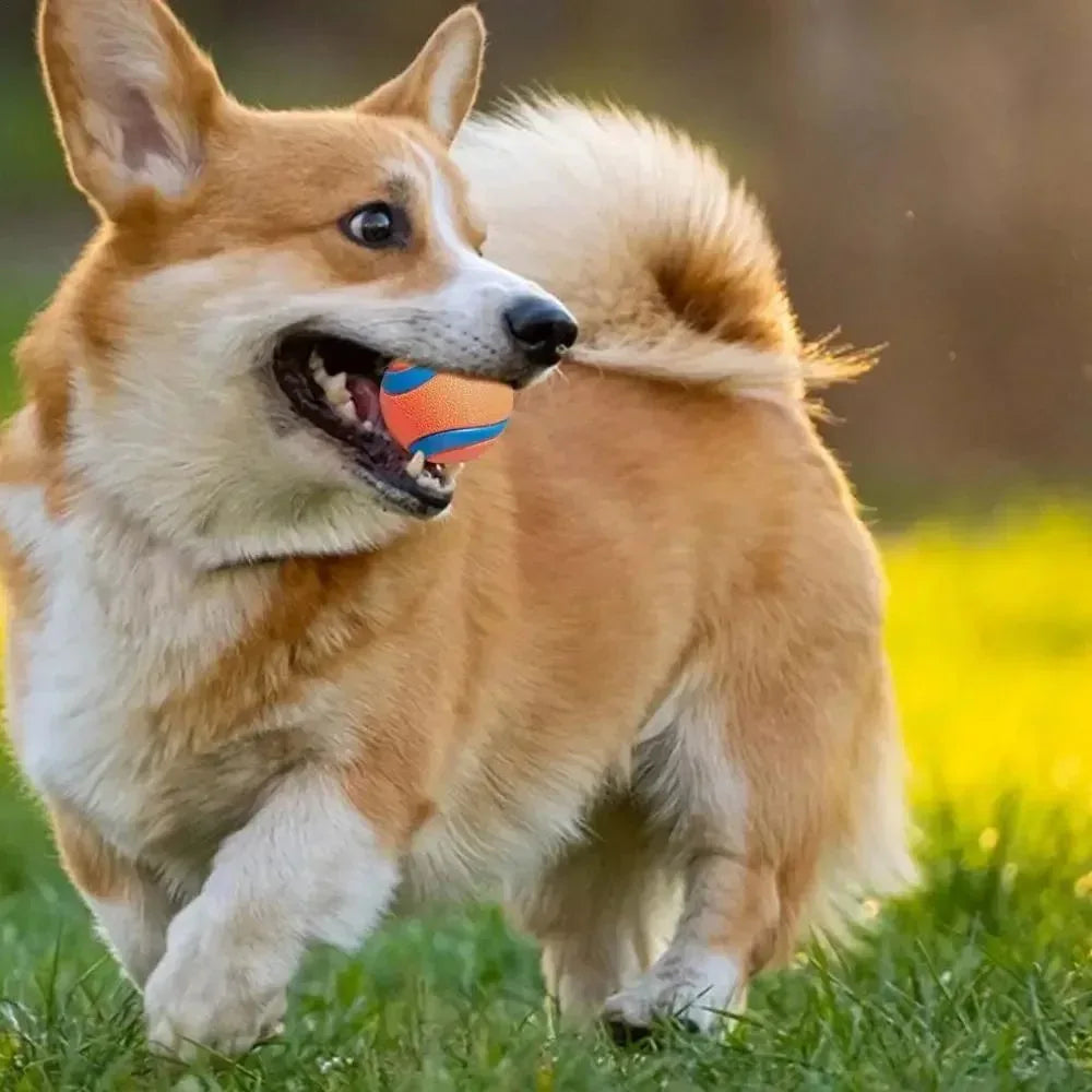 Pet Fetch Ball Dog Chew Toys