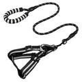 Pet Supplies Dog Leash & Chest Harness