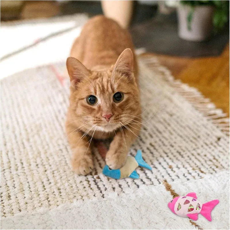 Small Plush PP Cotton Cat Fish Toys
