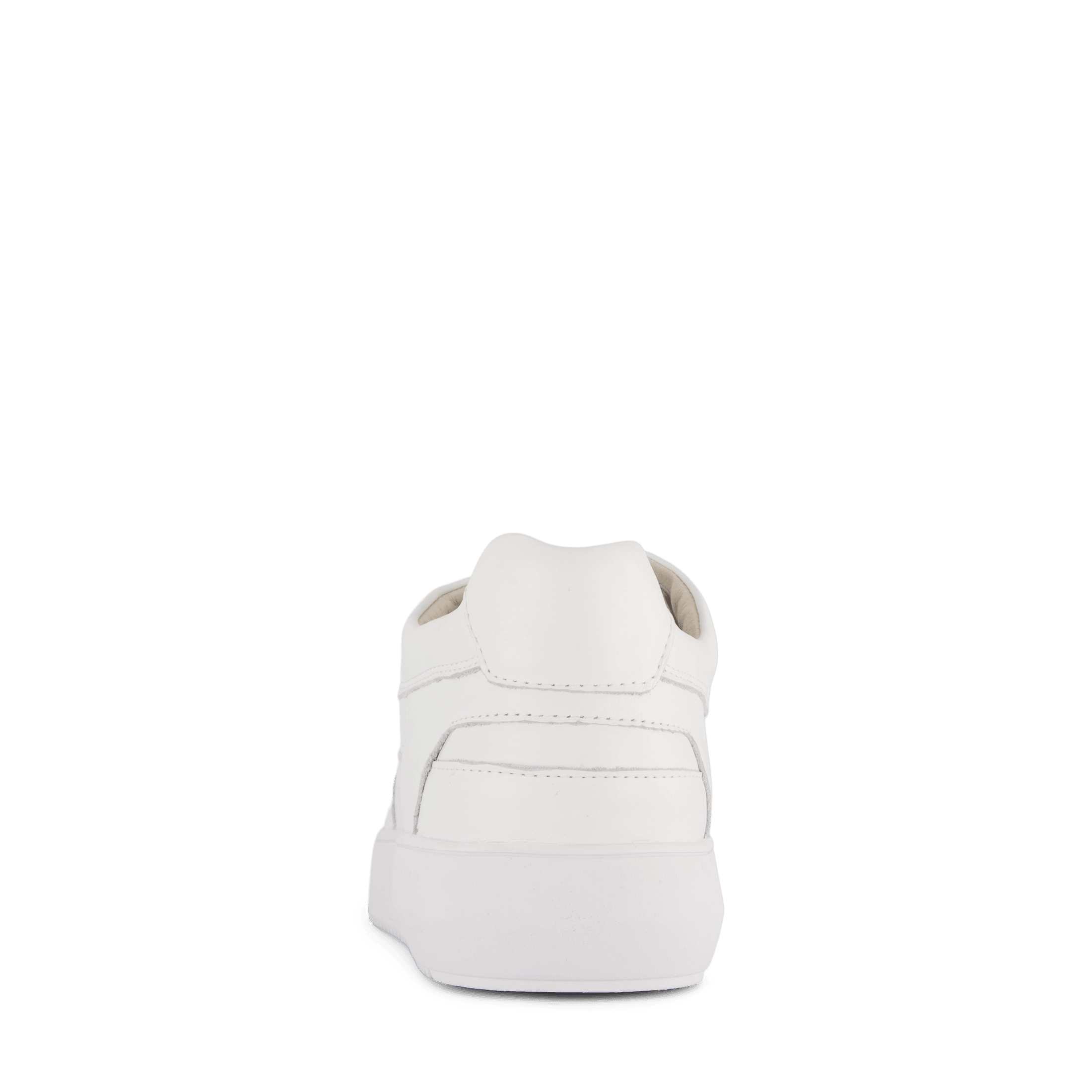 Zg14 White