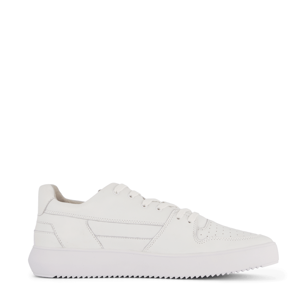 Zg14 White