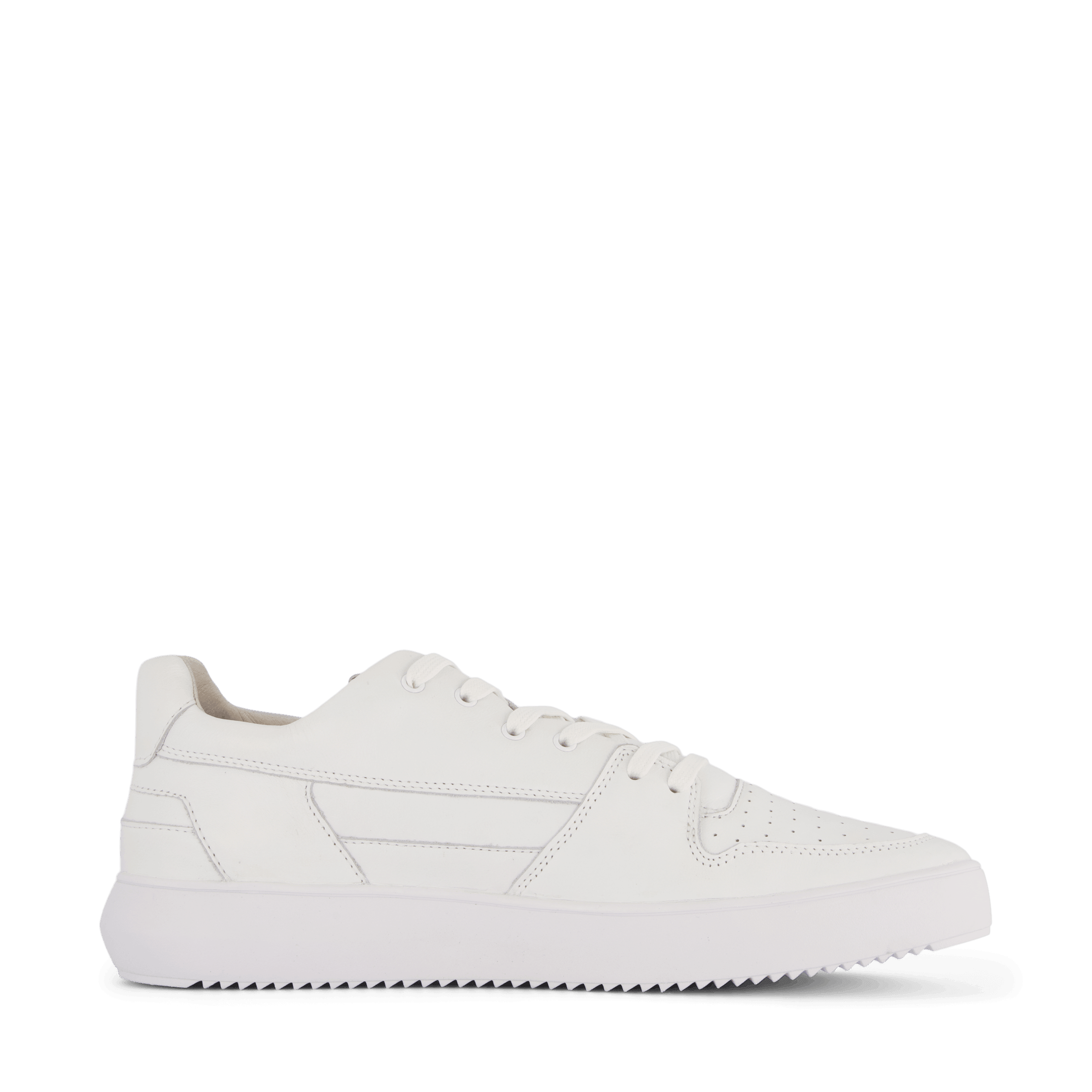 Zg14 White